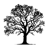 oak_1